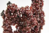 Lustrous Vanadinite Crystals on Goethite Stalactites - Morocco #209293-2